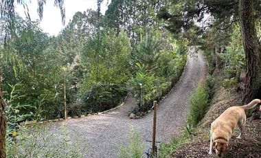 Se Vende Finca Guarne La Mosquita