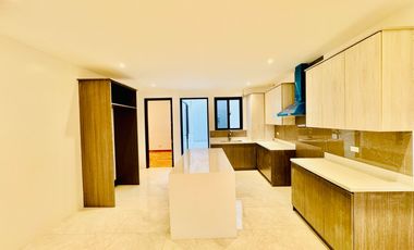 Stunning Brand New Modern Duplex House and Lot for Sale in Kapitolyo Pasig City