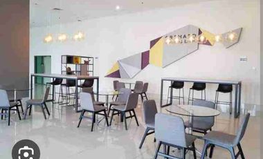 Sewa Apartemen Tanglin Studio Murah Tahunan Apartemen Studio Surabaya Indonesia