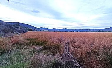 Terreno en venta en Villa Corona, Jalisco		$240,000,000