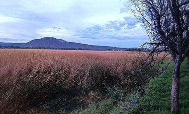 Terreno en venta en Villa Corona, Jalisco		$240,000,000