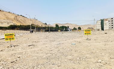 Tu lote comercial ideal en Chillaco de San Fernando, ¡oportunidad única!