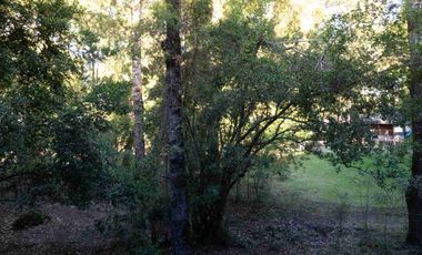 Arriendo Departamento Amoblado en Pucón – Condominio Andino Infinit