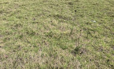 Venta de Terreno en la ciudad de Ibarra