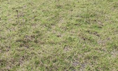 Venta de Terreno en la ciudad de Ibarra