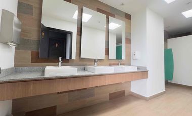 Suite de arriendo, amoblada, sector la Carolina