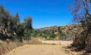 Oportunidad de Parcela En la Estrella sexta region!!!