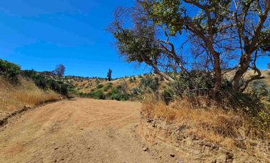 Oportunidad de Parcela En la Estrella sexta region!!!