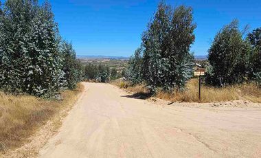 Oportunidad de Parcela En la Estrella sexta region!!!