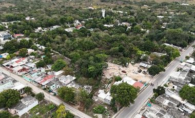 ¡Oportunidad de inversión! terreno en Ticopó, cerca de Mérida.