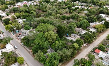 ¡Oportunidad de inversión! terreno en Ticopó, cerca de Mérida.