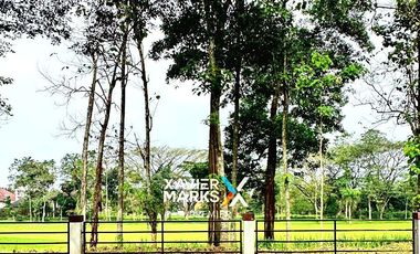 Dijual/Disewakan Rumah Mewah Full Furnished di Greenwood Araya Malang