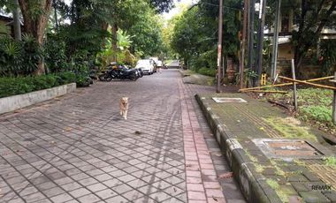 Tanah Cantik 5,8 Are Dijual, di Area Premium Renon Denpasar