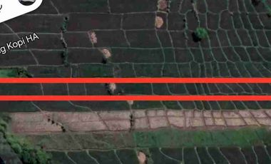 Sawah Subur, Area Industri, Cocok Buat Kost