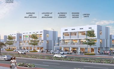 Anchor Tennant Besar Aw & Kampung Kecil Investasi Jangka Panjang Calico Grande – Kawasan Grande Pertama di Petals