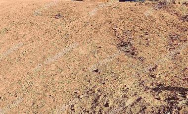 Venta parcela peñablanca regularizada contádo