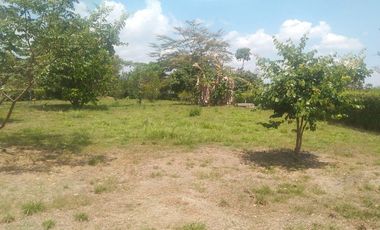 Arriendo Casa campestre 4 aguas acacias - Meta