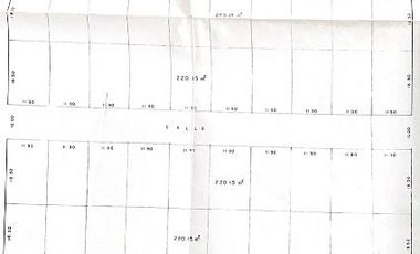 Venta 40 lotes Terreno Centro Aldama Tamaulipas.