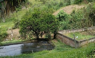 V ENTA FINCA SANTA HELENA