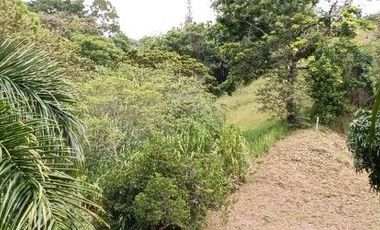 V ENTA FINCA SANTA HELENA
