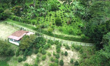 SE VENDE FINCA EN LA FLORIDA