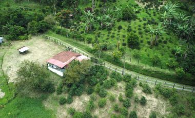 SE VENDE FINCA EN LA FLORIDA