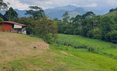 SE VENDE FINCA EN LA FLORIDA