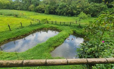 SE VENDE FINCA EN LA FLORIDA