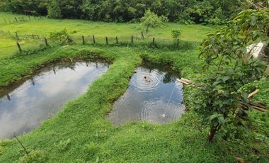 SE VENDE FINCA EN LA FLORIDA