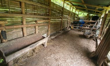 SE VENDE FINCA EN LA FLORIDA