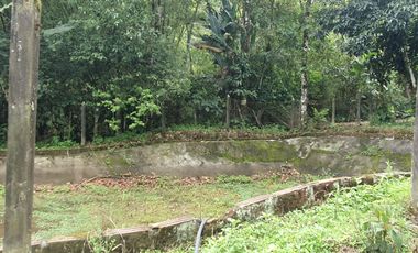 SE VENDE FINCA EN LA FLORIDA