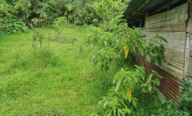 SE VENDE FINCA EN LA FLORIDA