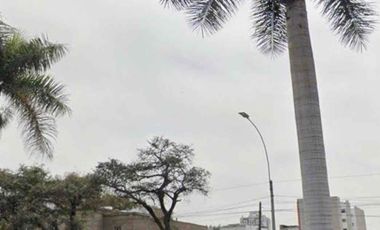 Venta de terreno para proyecto inmobiliario en Javier Prado Oeste muy cerca a Arenales
