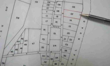VACANT LOT FOR SALE IN CAUAYAN ISABEL