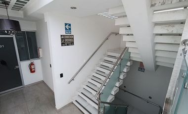 Un hotel que ya camina solo: Operación lista, con agencia, restaurantes y las mejores vistas de Tarapoto.