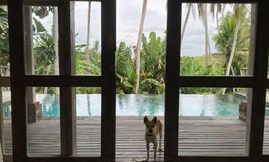 A beautiful semi-furnished villa with a small river, paddy fields and sunset view