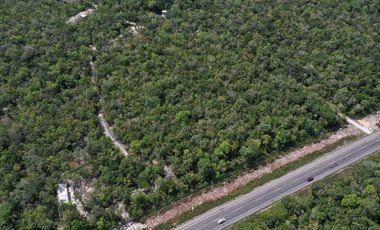 5,700 m² - 80m Frente Carretera 307 km 211 | Muyil y Nuevo Aeropuerto