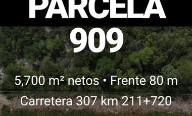 5,700 m² - 80m Frente Carretera 307 km 211 | Muyil y Nuevo Aeropuerto