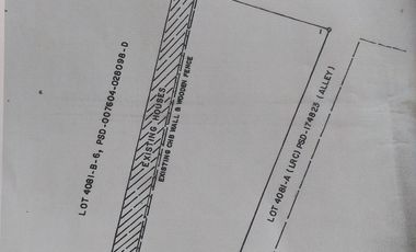 FOR LEASE Commercial Vacant LotBrgy. San Dionisio, Parañaque City