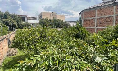 Venta de terreno con árboles de limón