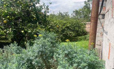 Venta de terreno con árboles de limón