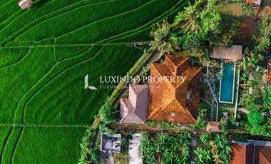 CANGGU - 3BR COLONIAL SANCTUARY WITH RICE FIELD VIEWS AND FLEXIBLE LEASE PERIOD