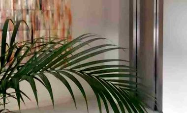 Departamento nuevo en RENTA en Cholula Puebla, Zona UDLAP