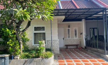 For rent 2 Bedroom house at Gunung salak, Kerobokan