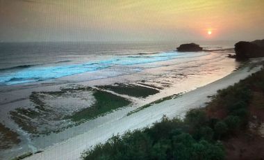 Dijual Tanah Premium Bonus Villa Eksklusif dengan View Laut di Watu Karung Pacitan