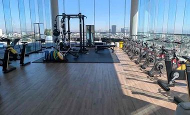 Chapultepec Distrito  Renta