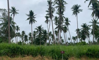 Hacienda Escudero Residential Lots