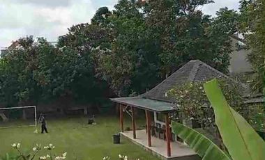 Jual Cepat Villa Eksklusif Full Furnish Luas 3930m² di Canggu Bali