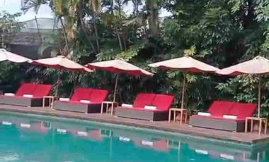 Jual Cepat Villa Eksklusif Full Furnish Luas 3930m² di Canggu Bali