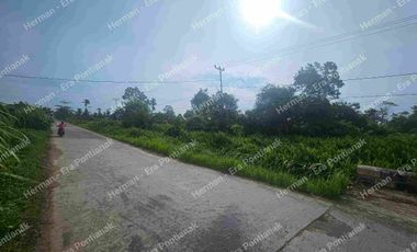 Lahan seluas 300 hektar